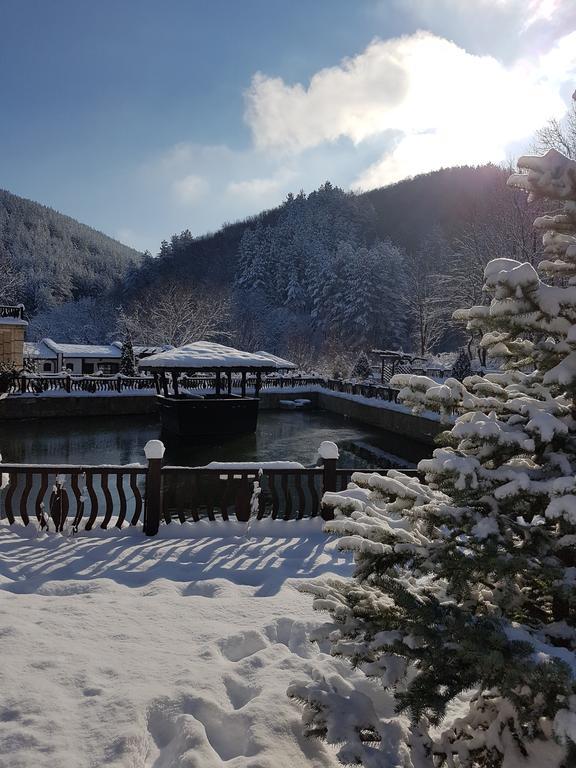 Guest House Pekliuk Gulubovtsi Εξωτερικό φωτογραφία